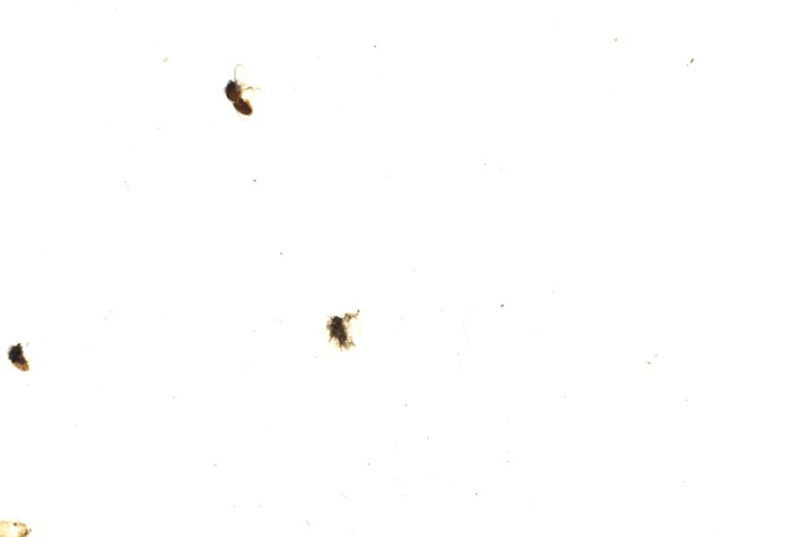 Image 94